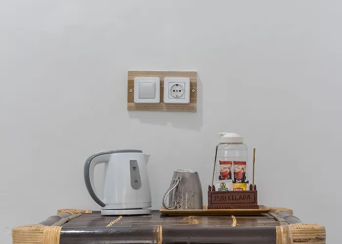 酒店 Sanur Lodge 3*